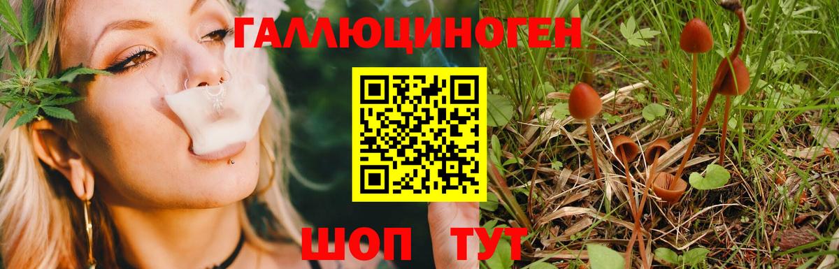 Псилоцибиновые грибы ЛСД Ликино-Дулёво